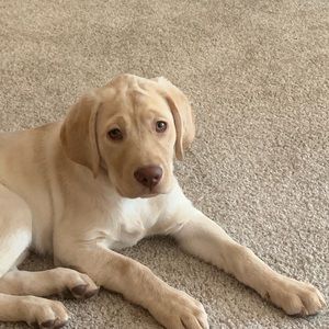 Meet your Posher, Beth